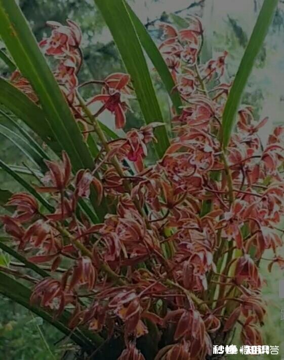 当今社会,我们从青少年开始应该注重的教育是什么是不是先从文明礼仪开始