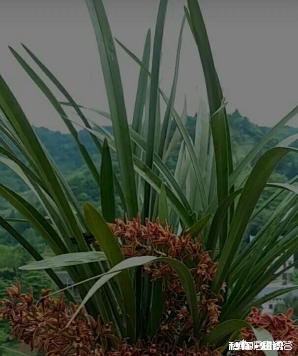 当今社会,我们从青少年开始应该注重的教育是什么是不是先从文明礼仪开始