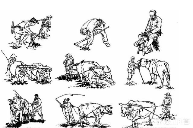 古代的夏天是不是要比现代凉快古人是如果在夏天避暑的