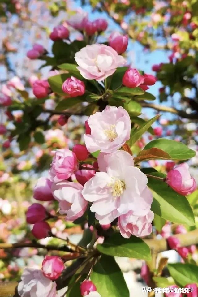 我从来都不用女儿们的钱，让他们给我买东西我都会把钱还给他们的，大家都是这样吗