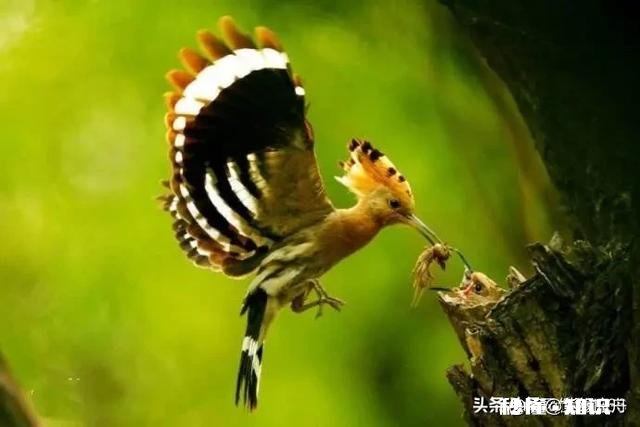 我从来都不用女儿们的钱，让他们给我买东西我都会把钱还给他们的，大家都是这样吗