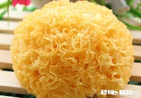 白木耳泡发多了，一次煮不完剩下的怎么办