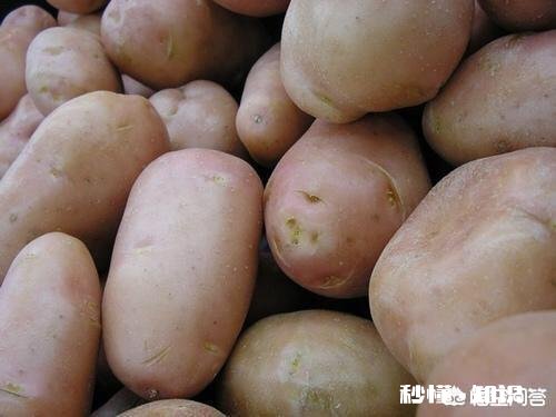 你觉得吃烧烤必不可少的一道菜是什么