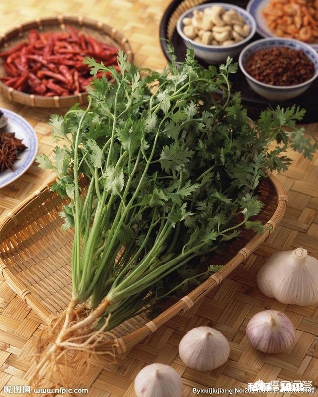 香菇、牛肉和金针菇可以一起搭配吗用蒸的方法