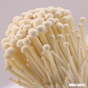 香菇、牛肉和金针菇可以一起搭配吗用蒸的方法