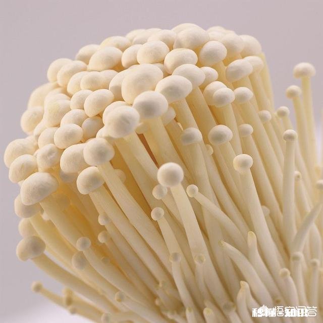 香菇、牛肉和金针菇可以一起搭配吗用蒸的方法