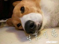 比“在干嘛”更好的开聊套路有哪些