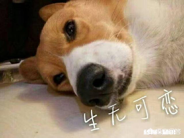 比“在干嘛”更好的开聊套路有哪些