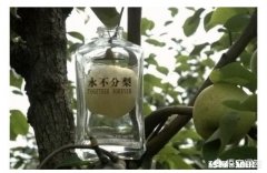 永不分梨酒里面的梨好吃吗