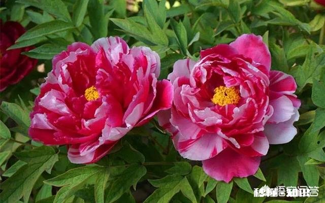 借钱给朋友是怎样一种感觉