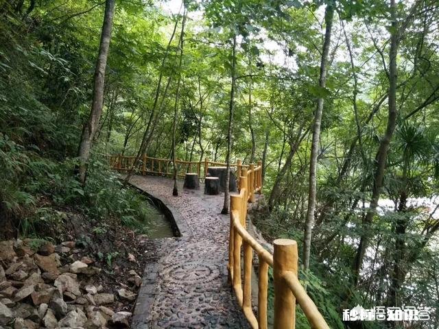 借钱给朋友是怎样一种感觉