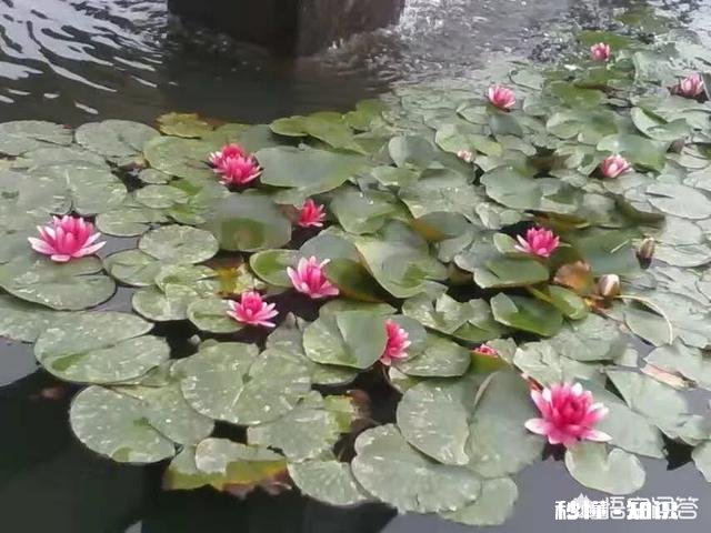 借钱给朋友是怎样一种感觉