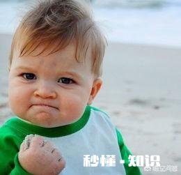 兄弟之间不和，有人在中间拉帮结派，还把你踢出去了，怎么办