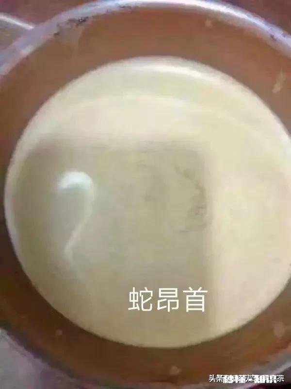品饮普洱茶，感觉麻舌、燥口、锁喉，是茶叶品质不好吗