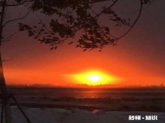 晚睡但是24小时内睡足8小时，对身体不好吗