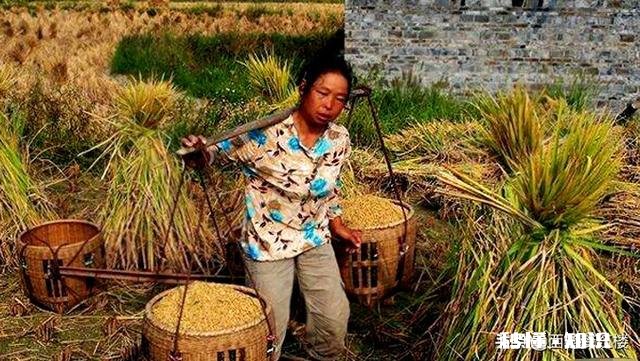 俗话说:好汉没好妻，懒汉娶个娇滴滴。是什么意思