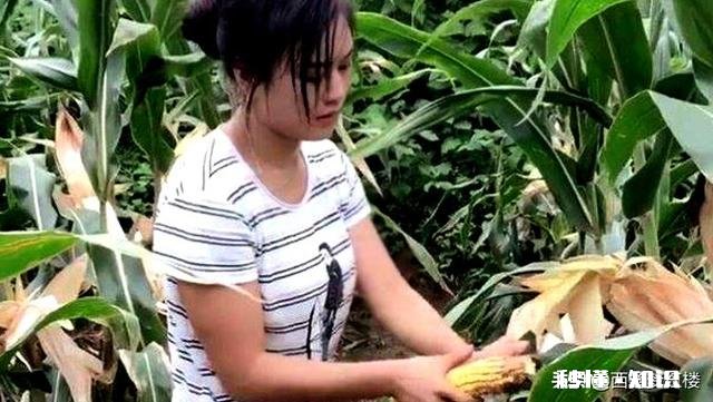 俗话说:好汉没好妻，懒汉娶个娇滴滴。是什么意思