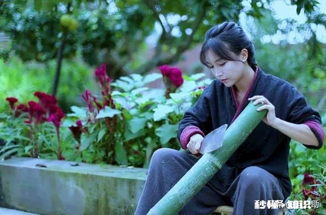 今日头条大咖里,你最喜欢看谁的视频为什么