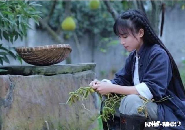 今日头条大咖里,你最喜欢看谁的视频为什么