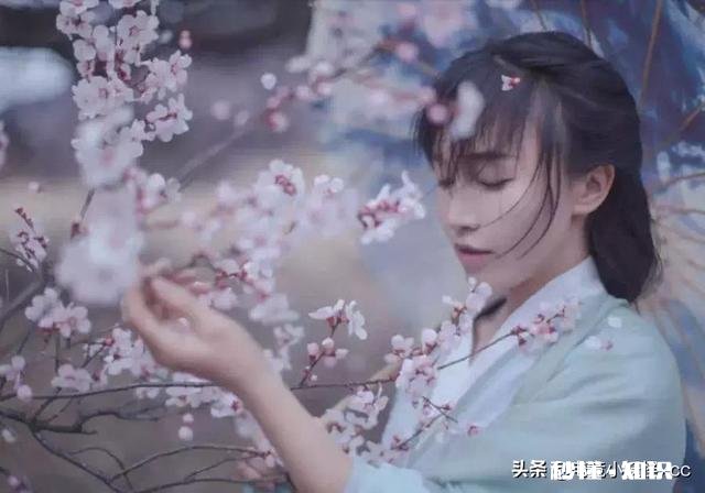 今日头条大咖里,你最喜欢看谁的视频为什么