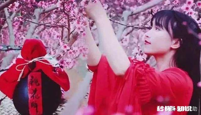 今日头条大咖里,你最喜欢看谁的视频为什么