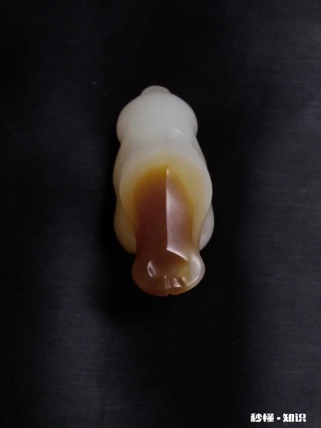 今日头条大咖里,你最喜欢看谁的视频为什么