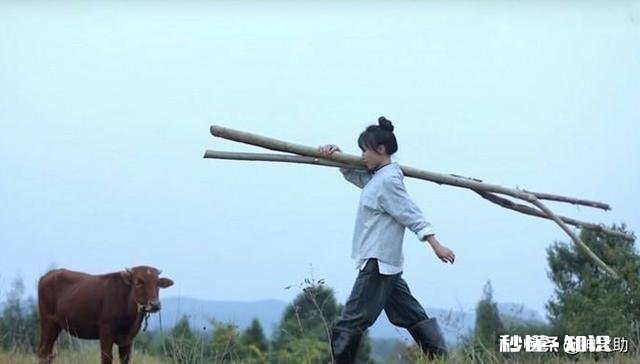 今日头条大咖里,你最喜欢看谁的视频为什么