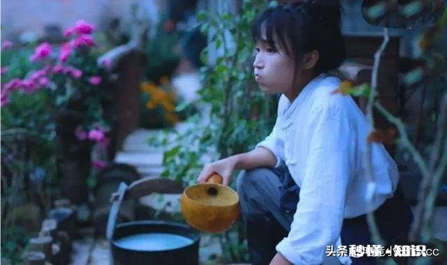 今日头条大咖里,你最喜欢看谁的视频为什么