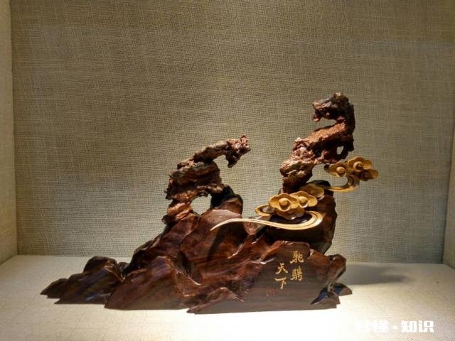 今日头条大咖里,你最喜欢看谁的视频为什么