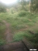 80后们还记得小时候做的“坏事”吗