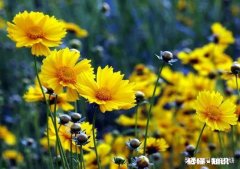 被人怼了但没有及时怼回去，现在找不到机会怼他感到无法平静，该如何处理