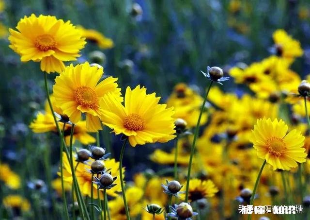 被人怼了但没有及时怼回去,现在找不到机会怼他感到无法平静,该如何处理