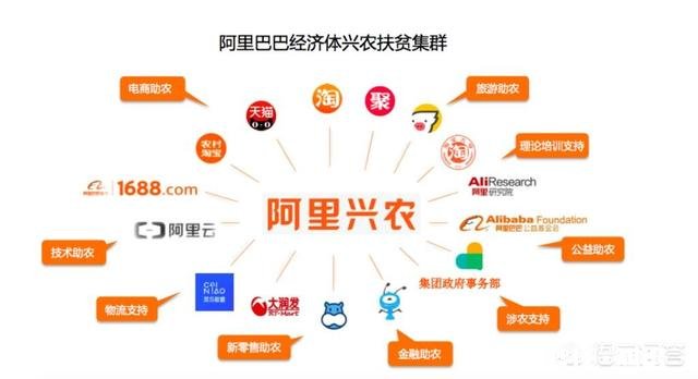 阿里应聘程序员更常用的是java还是C++