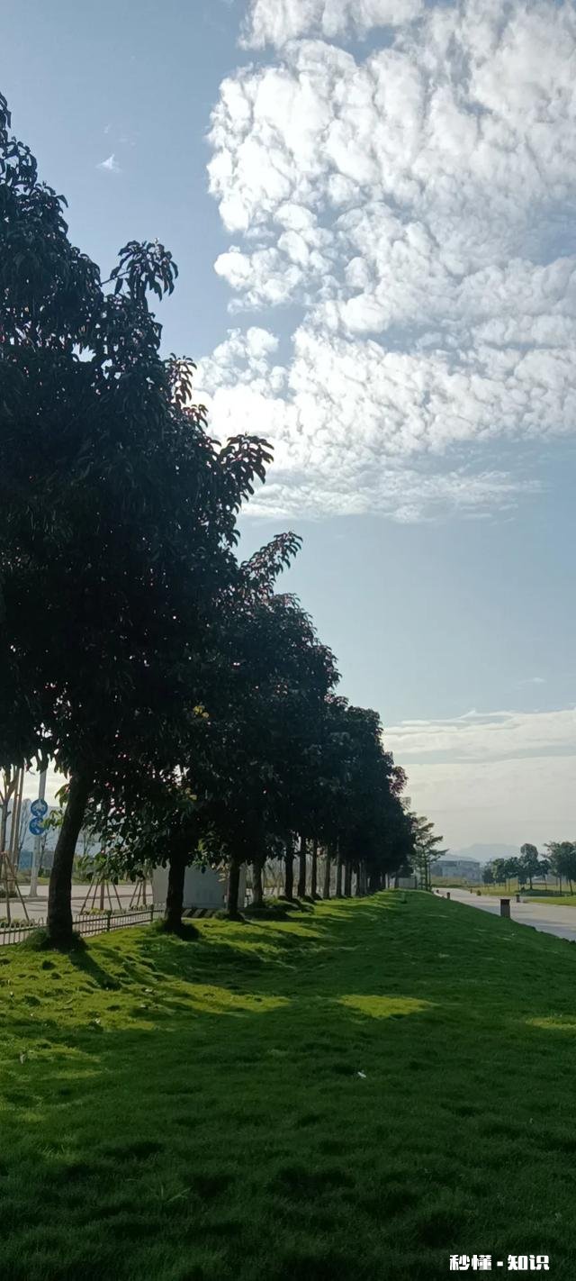 “这社会,无论是穷男人,还是穷女人,往往都着急结婚”你怎么看