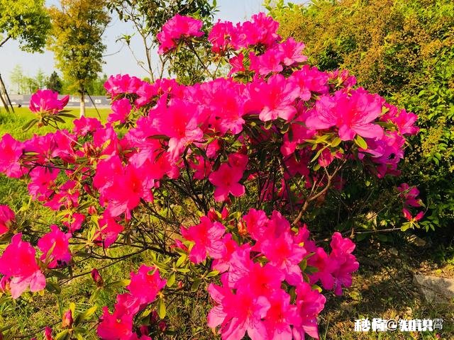 拿婆婆和妈妈比,妈妈拿儿媳妇和女儿比,有意义吗现实吗