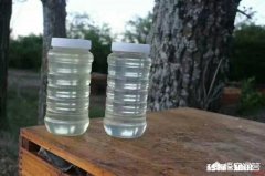 洋槐蜜会结晶吗