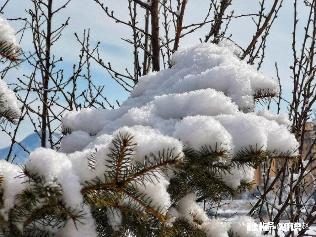 恋恋花名册的狗哥手机在哪