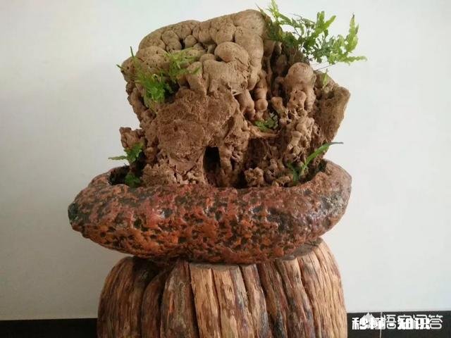 头条中要如何成为扶贫达人