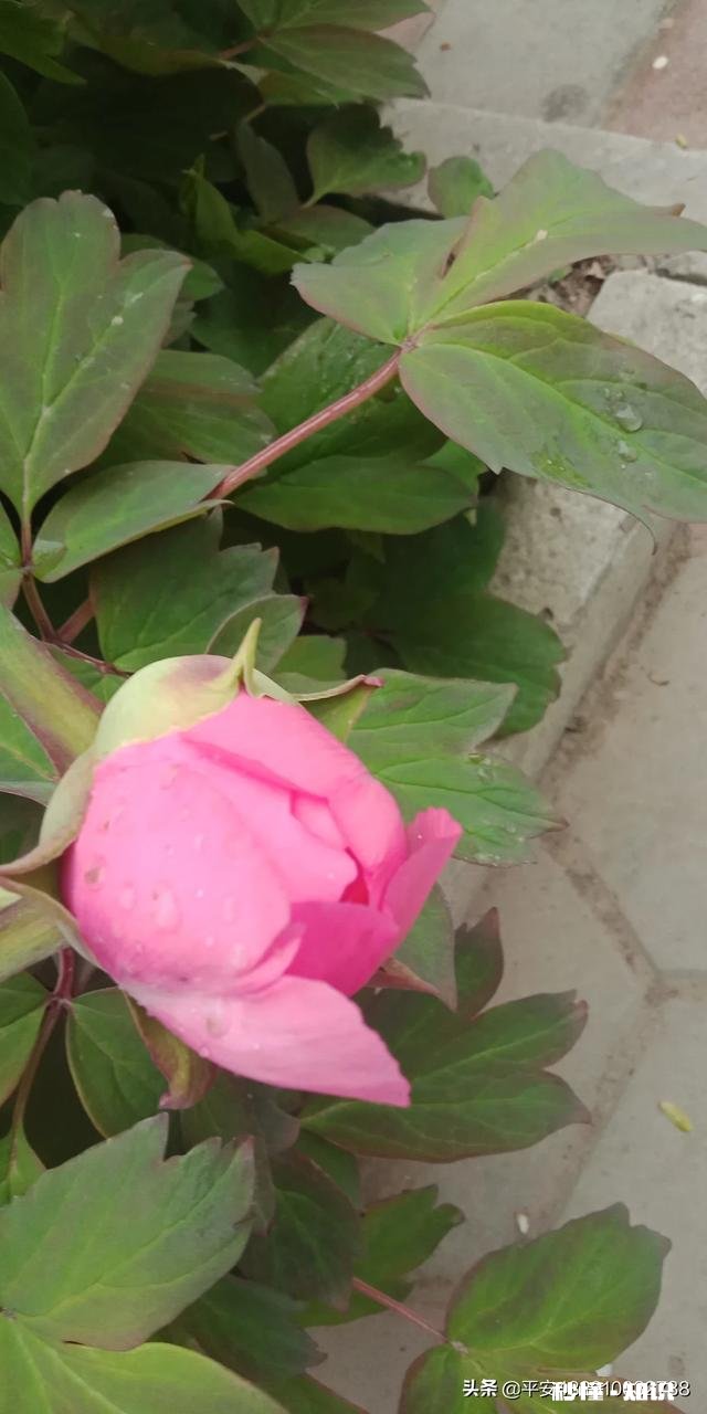 为什么有些人越做事越精神，而什么都不做的人反而越来越疲倦