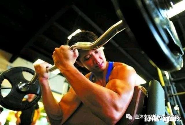 站桩腿部正确的用力方式是什么