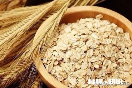 经常偏头疼，饮食上多吃什么食物可以改善