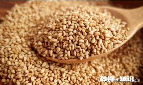 经常偏头疼，饮食上多吃什么食物可以改善