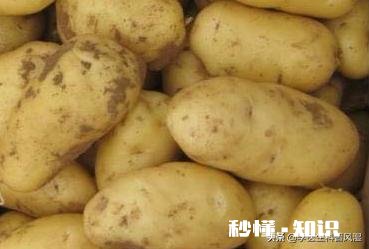 经常偏头疼，饮食上多吃什么食物可以改善