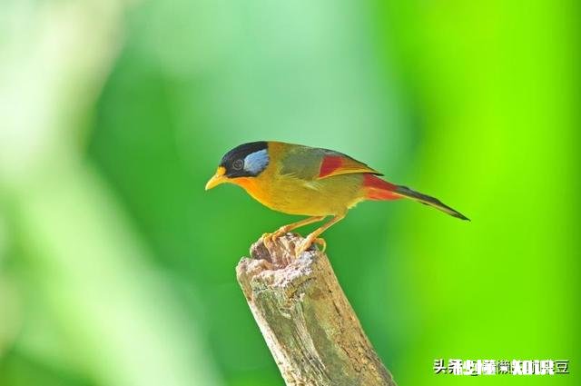 被还没来得及感恩的人伤害了怎么办