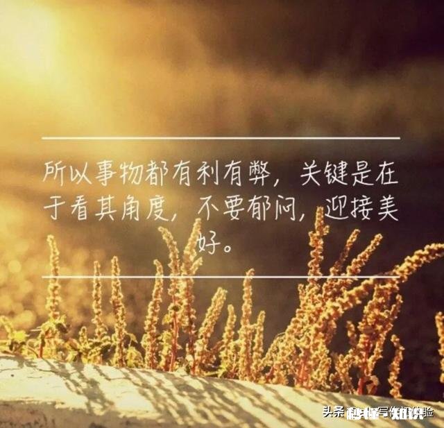 靠谱的人是什么样子你身边有没有一个人让你觉得靠谱