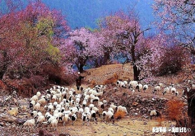 适合一个人旅游散心的地方有哪些