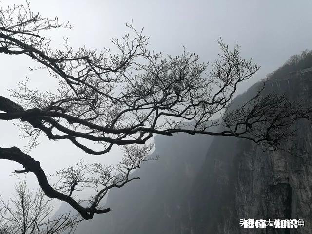 适合一个人旅游散心的地方有哪些