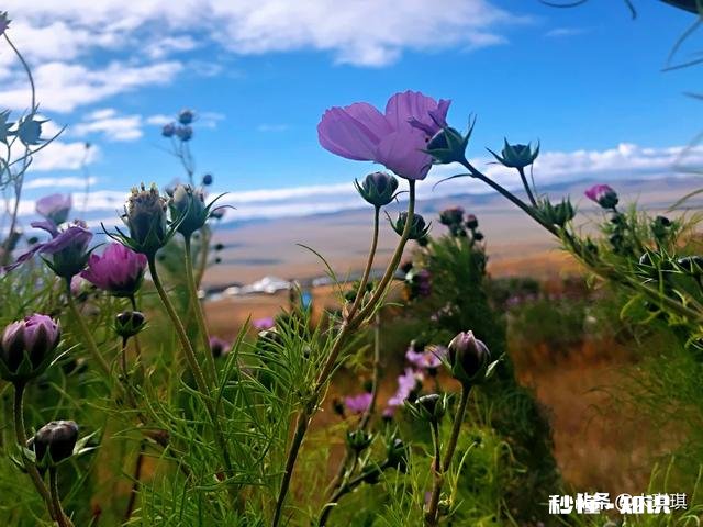 适合一个人旅游散心的地方有哪些