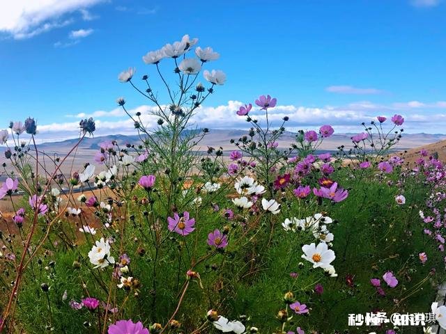 适合一个人旅游散心的地方有哪些