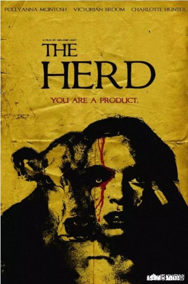 看过哪些以动物为主题的恐怖惊悚片